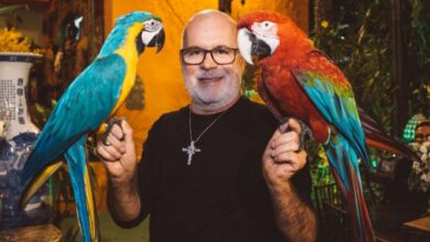 A saga de Eder Meneghine: Quem é o dono do seu acesso?